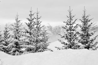 开云体育在线下载-世界青少年滑雪比赛在崇山峻岭中顺利落幕,全国青少年滑雪锦标赛