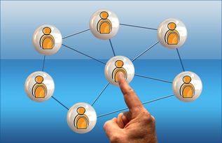 开yun官网-体育新闻中心联合高校开展体育传媒创新创业大赛，体育产业创新创业大赛