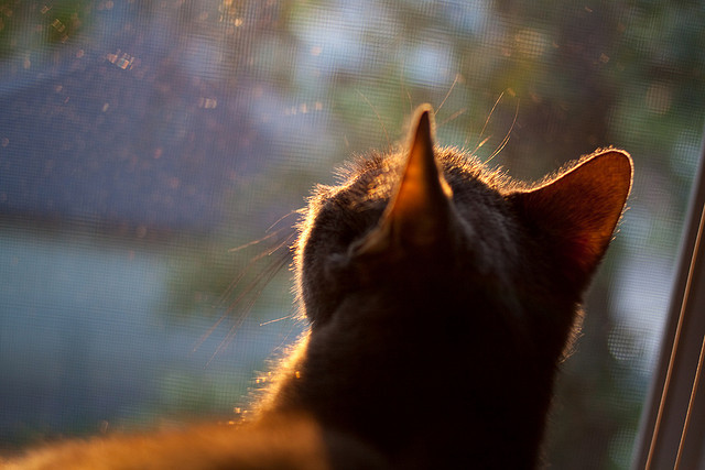 开云体育官网app-俱乐部未建立球员退出职业通道机制，俱乐部球员跳槽