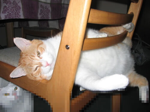 开运体育电脑版-职业联赛球队转会体系混乱,足球联赛转会